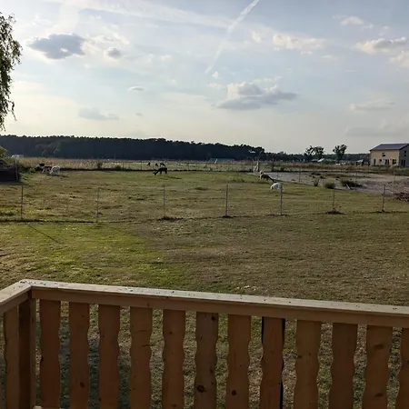 Bauwagen Auf Der Alpakawiese