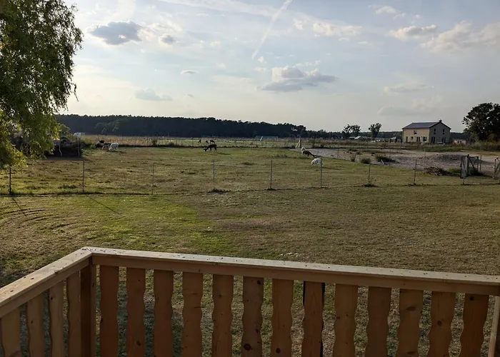 Bauwagen Auf Der Alpakawiese