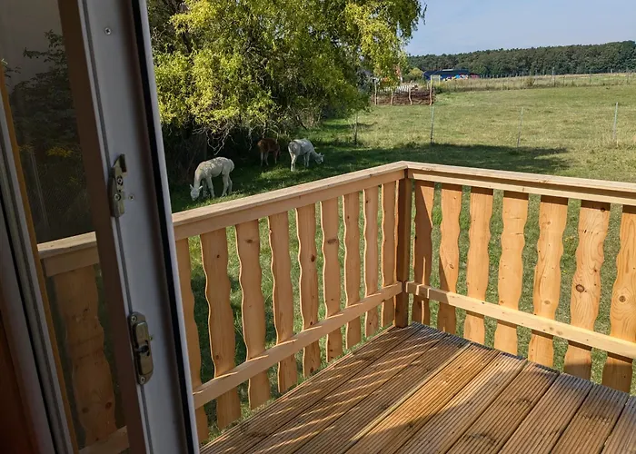 Bauwagen Auf Der Alpakawiese Camping *