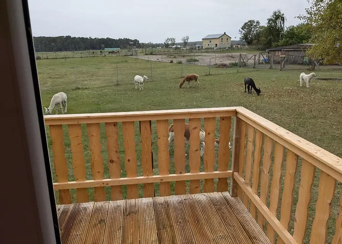 Bauwagen Auf Der Alpakawiese *